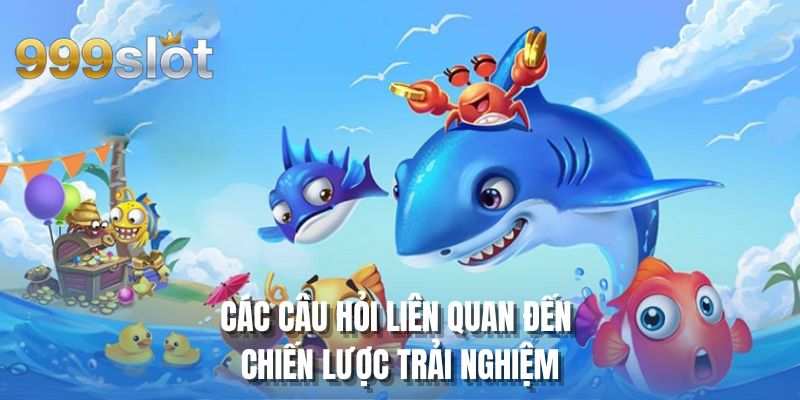 Các câu hỏi liên quan đến chiến lược trải nghiệm