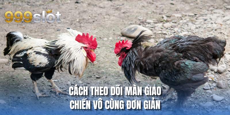 Cách theo dõi màn giao chiến vô cùng đơn giản