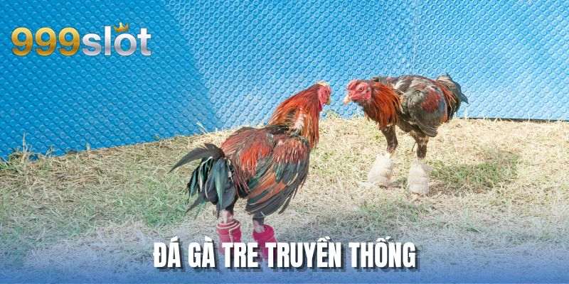 Đá Gà Tre Truyền Thống - Cảm Nhận Cách Thức Giải Trí Lâu Đời Tại 999SLOT